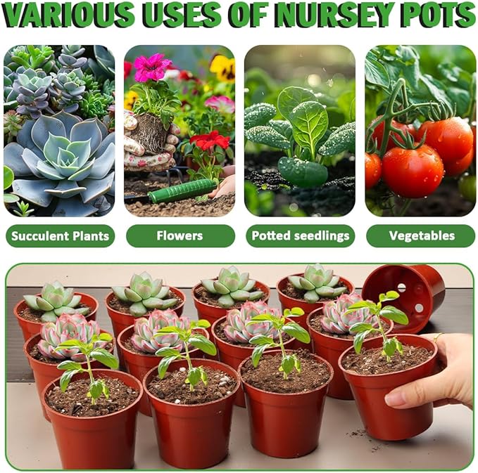 100-Pack 2.5 inches Plus Tiny Round Plant Pots Succulent Seedling Nursery Pots Made from Virgin Grade PP Material(Tiny, 68mm2.5 inch)