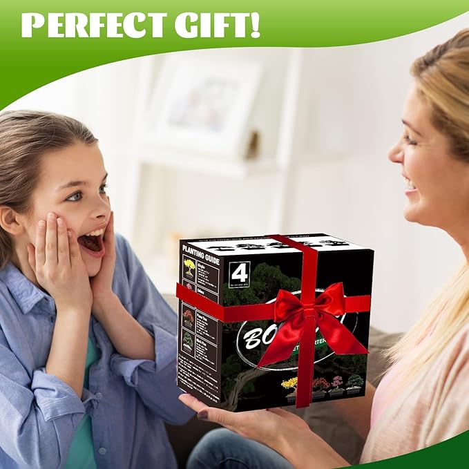 4 Bonsai Tree Seeds with Complete Growing Kit & Wooden Planter Box, Indoor Bonsai Tree Starter Kit, Great Potted Plants DIY Gift for Adults