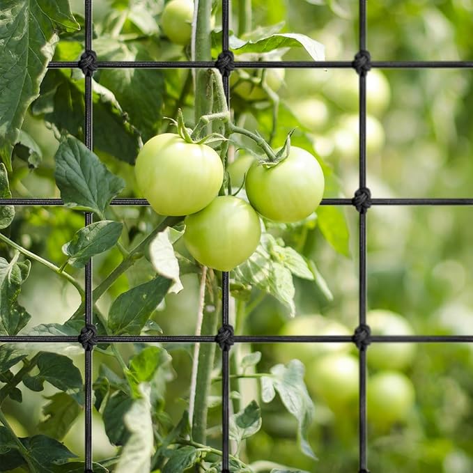 Trellis Net for Grow Tent, 4X4FT Elastic Trellis Netting with 4 Hooks, Heavy-Duty Trellis Netting Support for Indoor Plants, Gardening