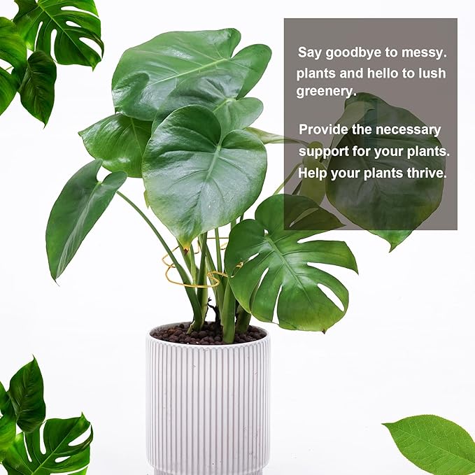 6PCS Monstera Plant Stem Support , Monstera Stabilizer Grapple Holder Unique Design for Turtle Shell Bamboo Clamp Set, Ideal Plant Support Stakes for Thriving Growth Indoor Climbing Plant (Gold)