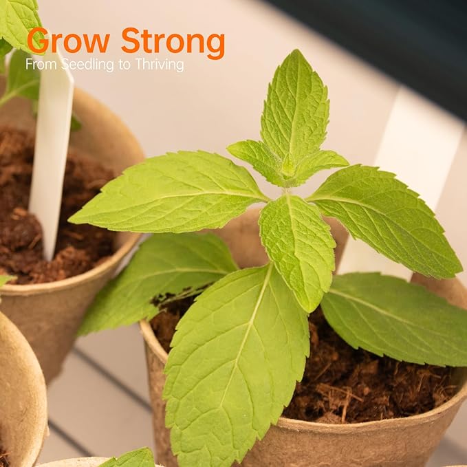 Plant Shelf with Grow Light with Timer, Metal Plant Stand with Adjustable Rack and Wheels, 5 Pack T8 Full Spectrum Grow Light Strip for Indoor Plants, Seed Starting, Seed Tray, 35.4"x13.8"x71"