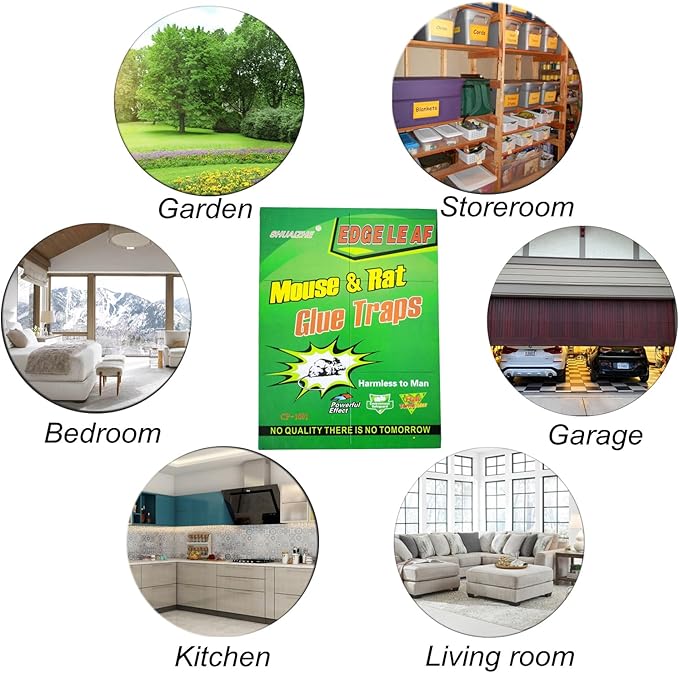 10 Pack Large Mouse Glue Traps with Enhanced Stickiness Glue Traps for Rat, Rodent and Household Traps Sticky Pad Board for House Indoor