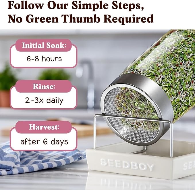 Seedboy Organic Radish Seeds for Sprouting - Non-GMO, USA Grown Microgreens Sprouting Seeds Mix - Makes 8 Quarts of Sprouts, 24 Servings (8 oz) (Daikon Radish)