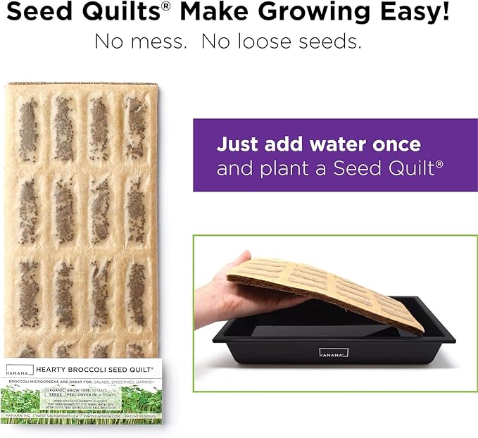 HAMAMA Home Microgreens Growing Kit - Cilantro Sprouts Growing Kit, Sprouting Kit - Grow Your Own Micro Greens Indoor, Micro Greens Starter Kit with Microgreens Tray, Microgreen Seeds【Cilantro Seeds】