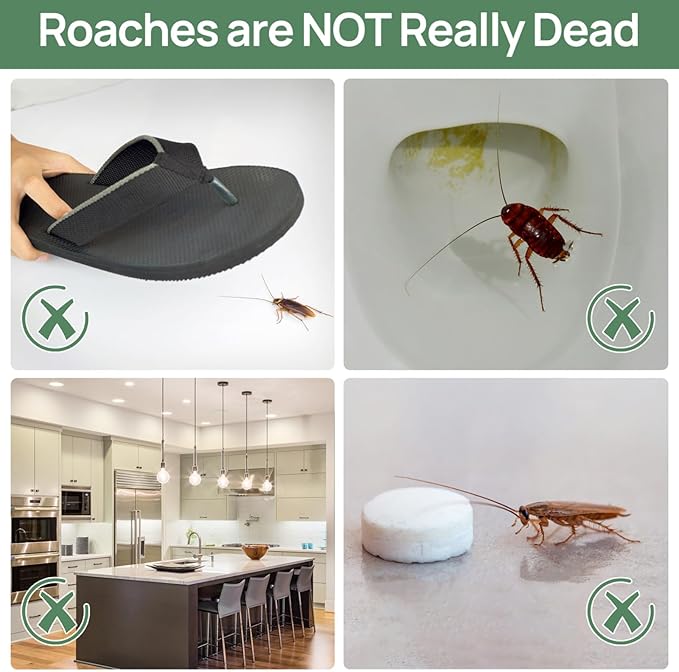 16 Pack Roach Trap, Sticky Glue Cockroach Traps Indoor Home, Pest Control Traps for Cricket Ants Spiders, Kids & Pets Friendly (Roach Traps 16 Pack)