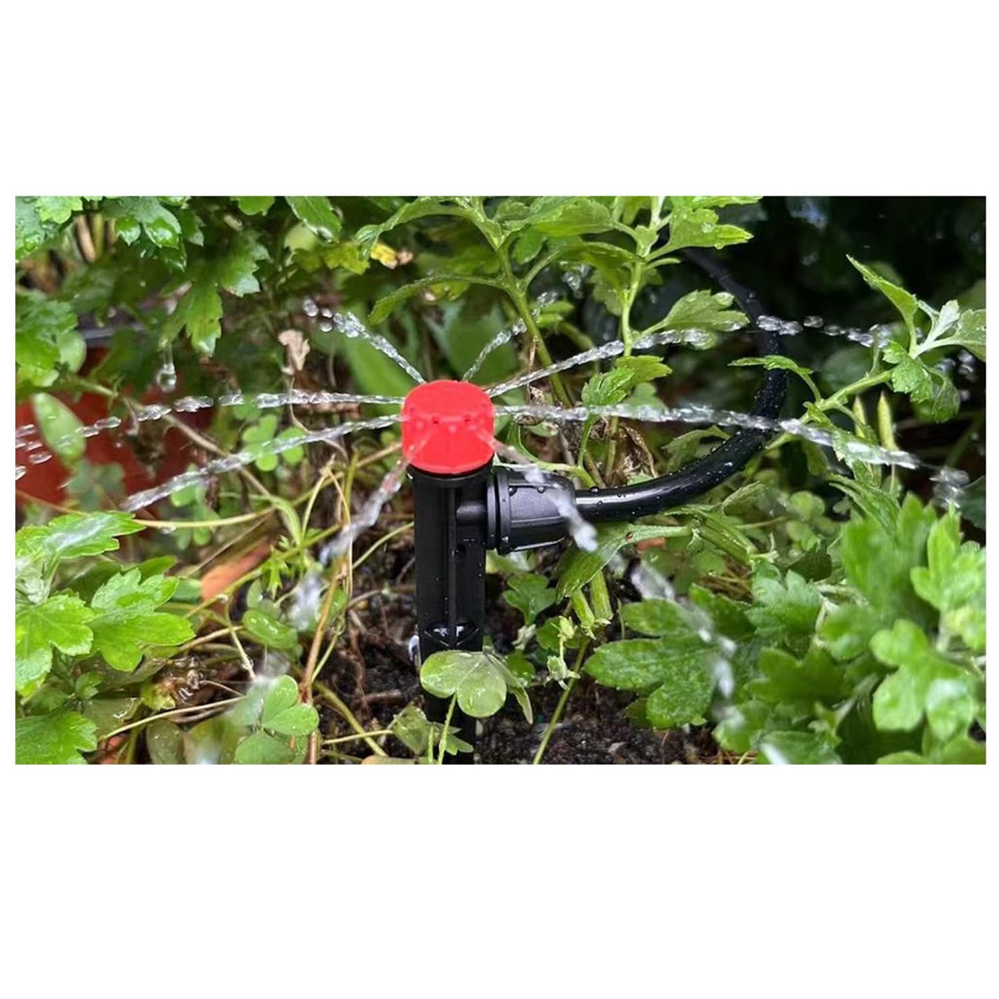 50 Pcs Drip Irrigation Emitters with Lock, Adjustable 360 Degree Water Flow Drippers for 1/4 inch Tubing, Garden Irrigation Sprayers for 4-7mm Watering System