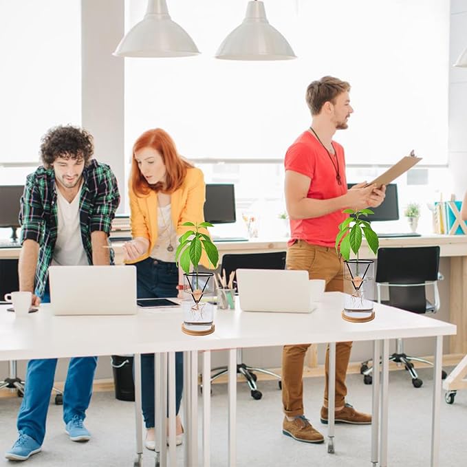 Bylion Avocado Tree Growing Kits, Avocado Growing Vase Wooden Base Avocado Seed Starter Vase Glass Plant Pot Easy Seed Sprout Starter Gift for Women Gardening Lovers Home Office Table Decoration