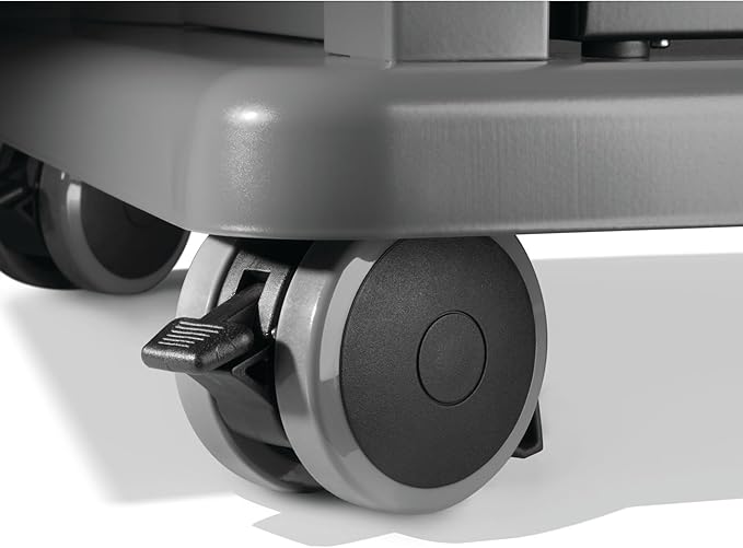 Napoleon Rogue 525 Natural Gas Grill, Black, Durable 4-Burner Cooking Surface