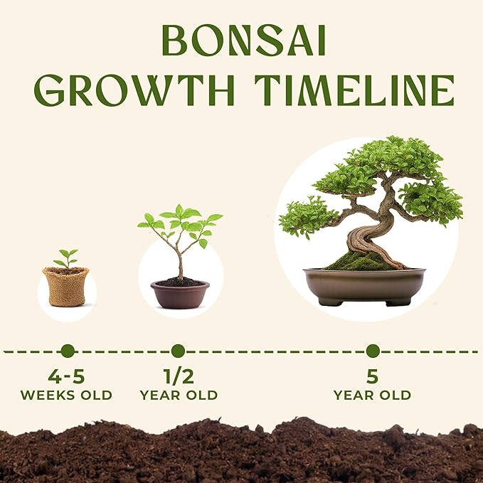 Bonsai Tree Kit for Beginners – 5X Unique Japanese Bonzai Trees | Complete Indoor Starter Kit for Growing Plants with Bonsai Seeds, Tools & Planters – Gardening Gifts for Women & Men