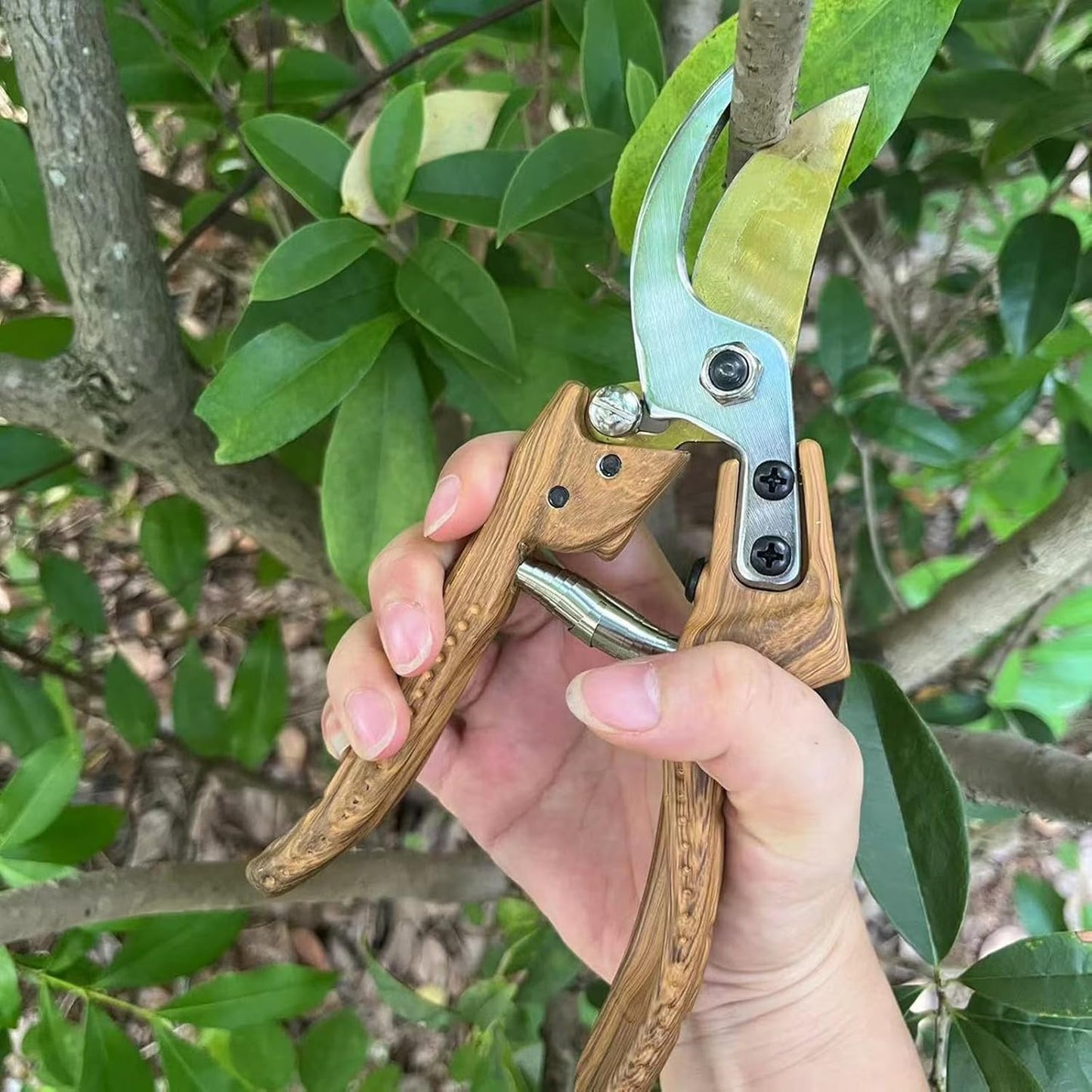 Bypass Pruning Shears scissors 25mm/0.98" Branch Cut Capacity Garden Clippers Gardening Scissors Sharp Stainless Steel Blade with 1 Pair Reusable Slip-Proof Gloves for Garden Orchard