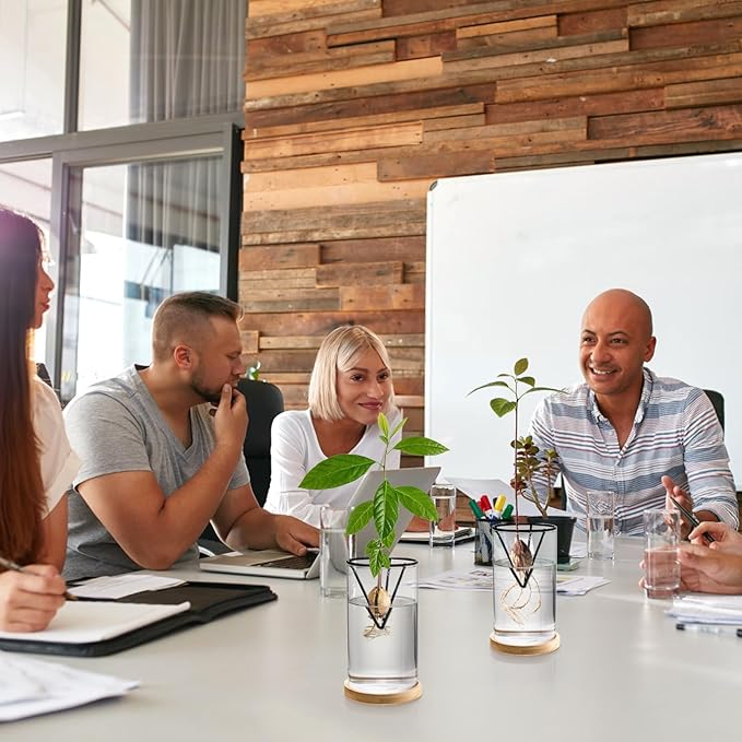 Lawei 3 Pack Avocado Tree Growing Kits, Glass Avocado Seed Starter Vase with Metal Triangle Bracket and Bamboo Base, Avocado Pit Sprouting Plant Pot Glass Bottle for Gardening Lovers Home Decor