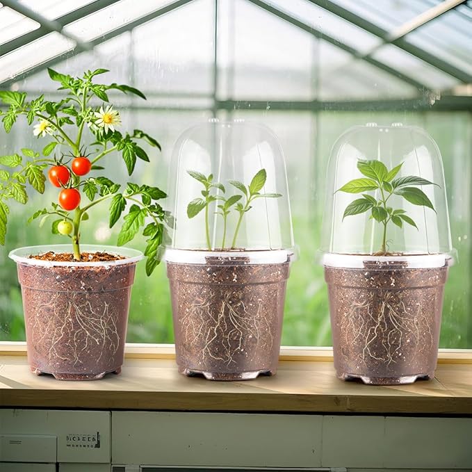 6 Inch Clear Nursery Pots with Humidity Dome, 15 Pack Durable Seed Starting Pot with Drainage Holes, Transparent Plastic Plant Seedling Pots for Indoor Gardening Plants