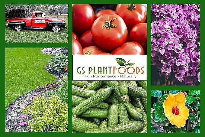 GS Plant Foods Organic Liquid Humic Acid (55 Gallon) - Fertilizer