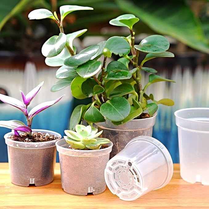 4.3 Inch Clear Nursery Pots for Plants, Transparent Plastic Plant Pots with Drain Holes, Seed Starter Pots with 20 Plant Labels for Flowers Vegetable Seedlings 20 Packs