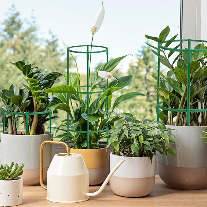 36 Packs Plant Support Stake, Half Round Stackable 3 Tier Garden Flower Support, Plant Stakes for Indoor Outdoor Plants Tomato,Monstera, Peony, Hydrangea, Climbing Plants