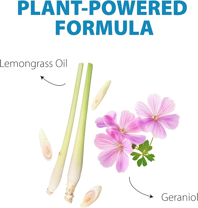 Insect, Lizard & Ant Repellent Bundle - Natural Bug Spray, Gecko Deterrent & Ant Control for Indoor/Outdoor Use - Kid & Pet Safe Plant-Based Pest Prevention for Home, Garden, Patio, Porch