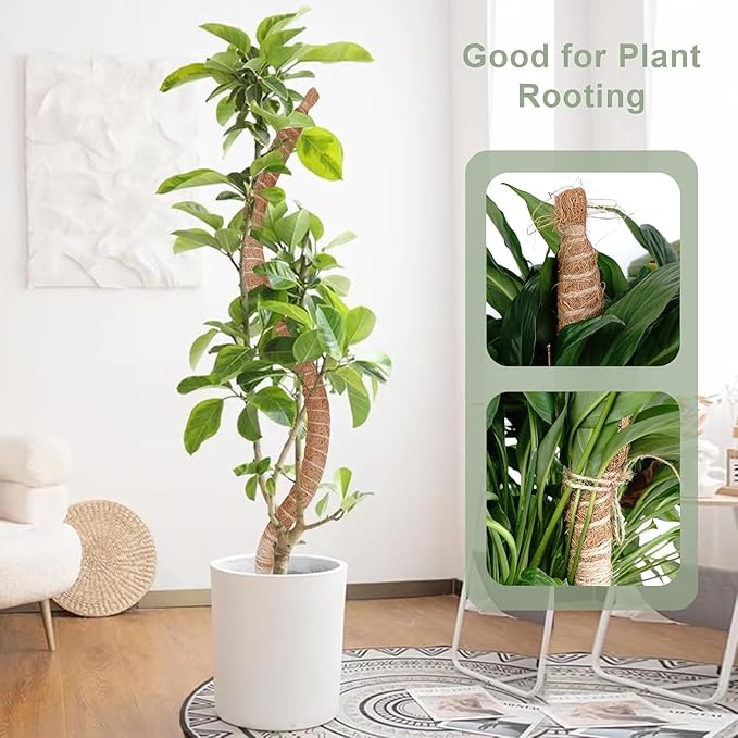 2 Pack 60 Inch Moss Pole for Plants, Bendable Moss Pole for Plants Monstera, Tall Moss Poles for Climbing Plants Indoor, LargeSupport, Garden Trellis Stick Stakes