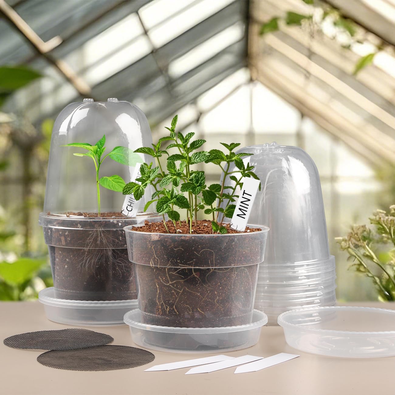 BTPLASTIK 6 Inch Clear Nursery Pots with Humidity Domes 15 Pack, Transparent Plastic Plant Pot with Drainage Holes and Saucers, Seed Starter Pots with 15 Pcs Plant Labels and 15 Pcs Soil Screens