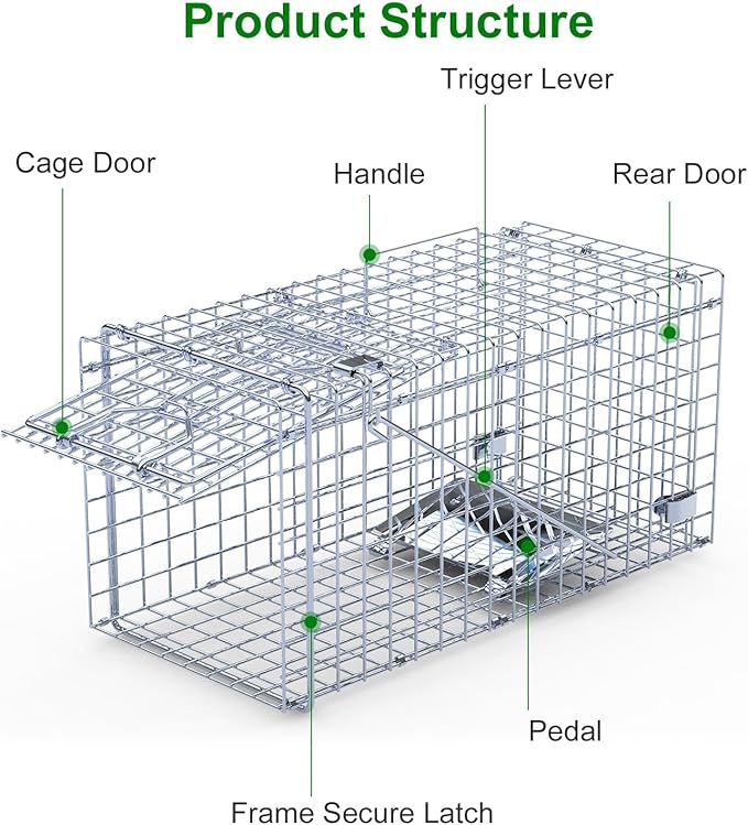 2 Pack Humane Rat Trap, Foldable Single Door Metal Mouse Cage for Small Squirrel Raccoon Feral and Other Small Live Animals, Easy to Catch and Release, Work for Indoor Outdoor