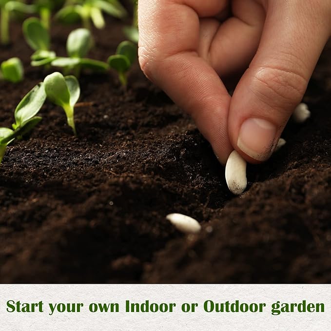 10 Kit Non-GMO Growing into Thyme, Lavender, Chamomile, Dill, Chives, Cilantro, Rosemary, Basil, Parsley, Sage Indoor/Outdoor for Kitchen Windowsill Gardening Gift