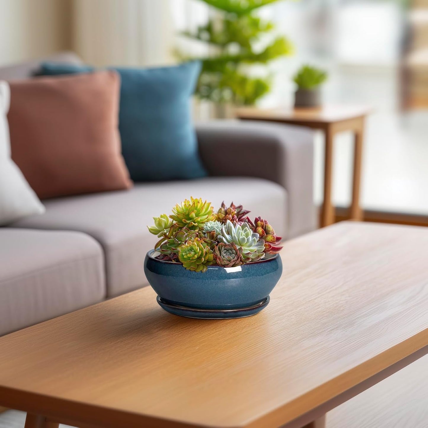 SQOWL Succulent Pots - 6 Inch Ceramic Bonsai Pots, Shallow Planter with Drainage Hole and Saucer, Modern Round Planter for Indoor Plants Outdoor, Flower Cactus Pot, Home Decor, Plant Lover Gift, Blue