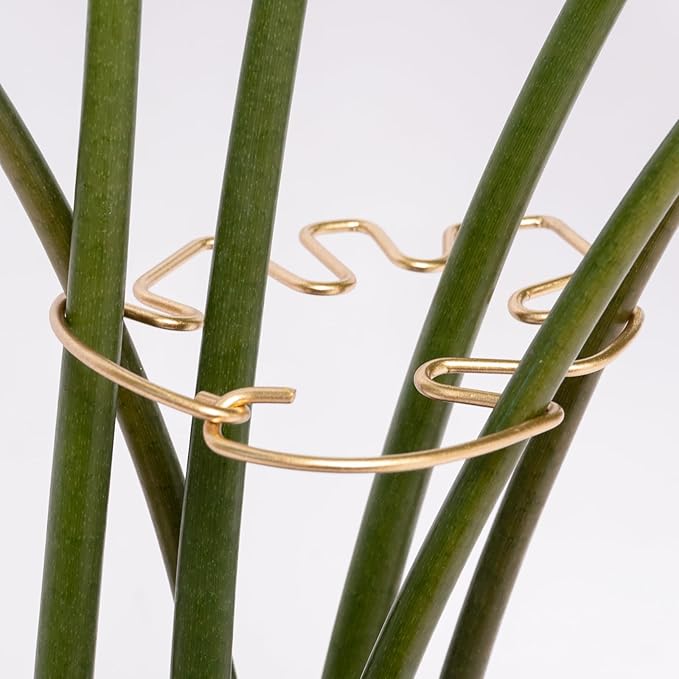 5Pcs Monstera Stem Support for Indoor Plants - 4.13 * 2.95 in- Durable Plant Support Stake Holder & Adjustable Clamp Kit for Monstera and Climbing Plants for Gardening Enthusiasts