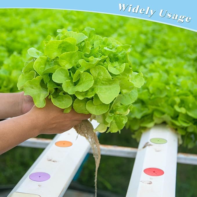 Lallisa 120 Pcs Clone Collars 2 Inch Foam Inserts for Hydroponic Cloning Machines Fits 2" Net Pots Reusable Collars for Hydroponics Plant Germination in DIY Cloner and Clone Machines (Multicolor)