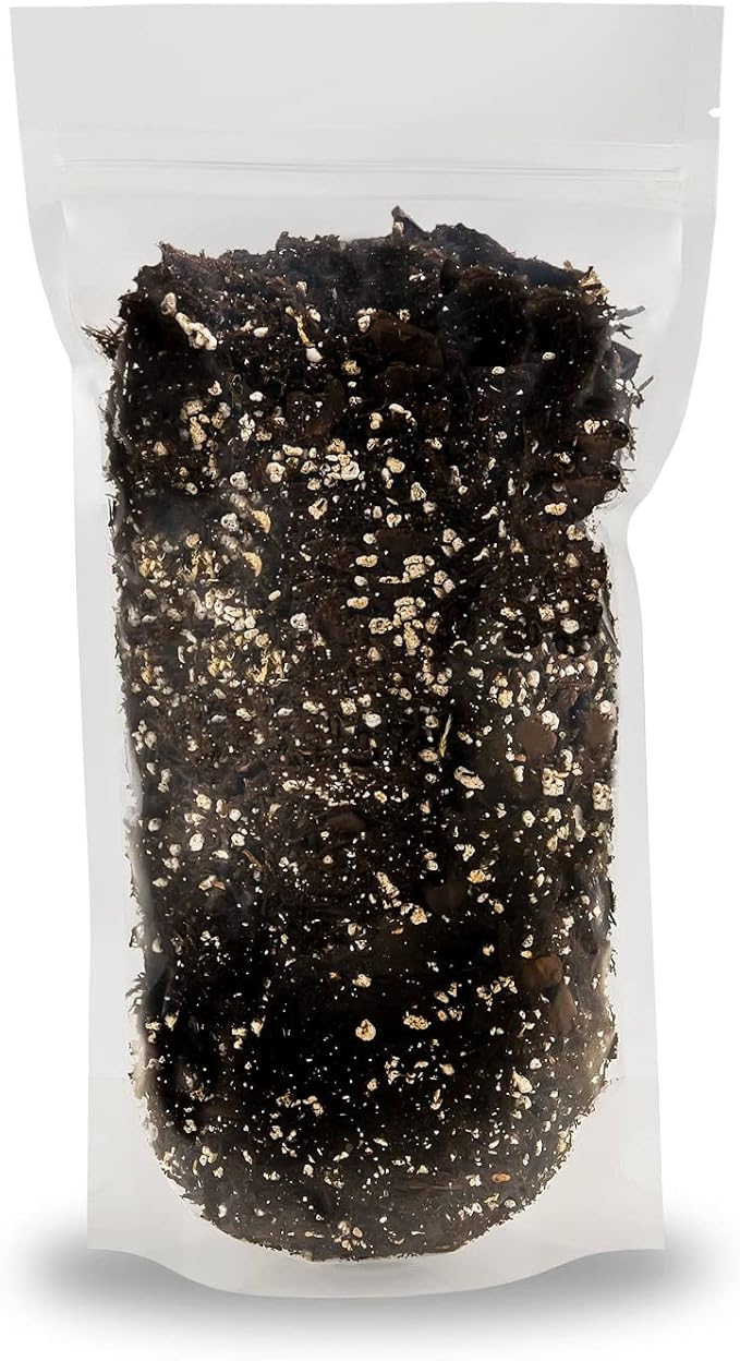 Premium Alocasia Plant Potting Mix - Crafted for Thriving Growth and Striking Elegance - 1 Quart, MAIN-ALOCASIA-1QT