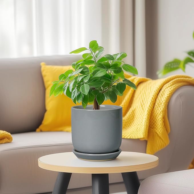 Ceramic Plant Pot 5 Inch - Modern Succulent Planter for Outdoor Indoor Plants with Drainage Hole and Saucer, Modern Home Decor, Gray