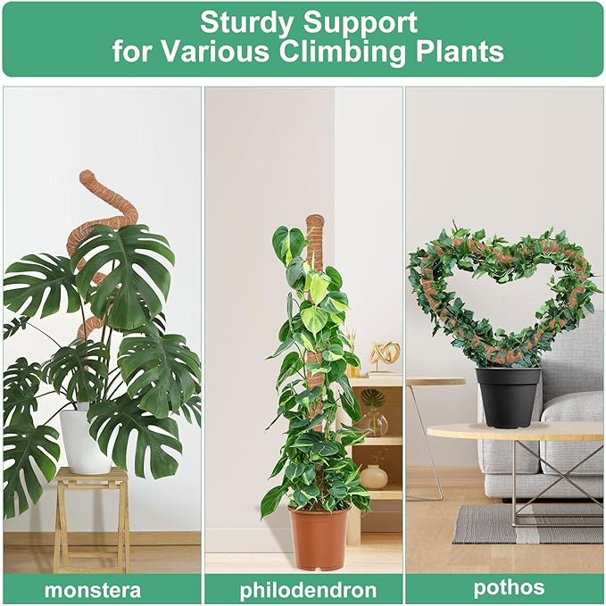 3 Pack Moss Pole, 30 Inch Monstera Plant Support, Moss Poles for Climbing Plants Indoor DIY, Coco Coir Plant Pole Moss Plant Stick Support Stake Kit for Potted Plants, Pothos, Philodendron