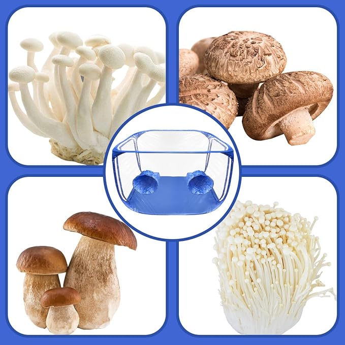 Still Air Box, Mushroom Grow Kit, Mushroom Grow Bag, Portable Mushroom Grow Tent, Mushroom Growing or Fungiology Supplies for Home Science (Blue)
