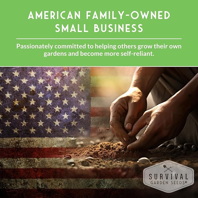 Survival Garden Seeds - Bergamot Herb (Bee Balm) Seed for Planting - 1 Packet with Instructions to Grow Monarda Fistulosa Wildflowers in Your Home Vegetable Garden - Non-GMO Heirloom Variety