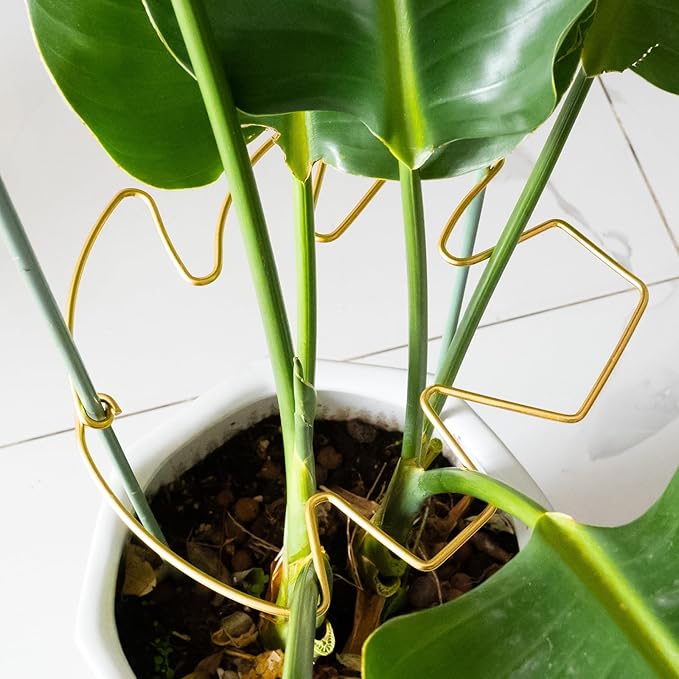 5PCS 11 * 9.4 Inch Monstera Plant Support Stem - Premium Adjustable Leaf Holder & Fishbone Cactus Stake, Durable Gardening Tool for Climbing Plants, Easy Installation & Enhanced Stability