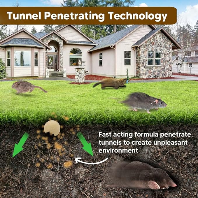 Mole Repellent, Gophers Repellent, Vole Repellant Outdoor, Armadillo Repellant Garden, Moles Control, Groundhog Repellents, Gopher Deterrent for Lawn, Keep Vole Out of Your Yard, Safe to Use-8P