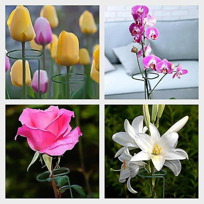 GROWNEER 12 Packs 16 Inches Plant Support Stakes, with 15 Pcs Plant Labels, Garden Single Stem Flower Support Stake, Plant Cage Support Rings for Flowers Amaryllis Orchid Peony Lily Rose