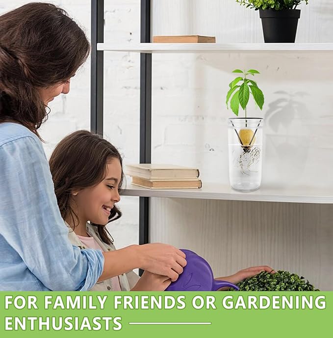 Plus tard 4Pcs Avocado Seed Starter Rack for Mason Jar of Wide-Mouth, Avocado Seed Holder Triangular Metal Bracket for Family Friends and Gardening Enthusiasts