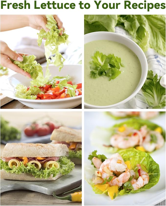 Red Romaine Lettuce Seed Pod Kits for AeroGarden, Ahopegarden, iDOO Hydroponics Growing System Indoor Herb Garden, 400+ Seeds, Including American Fast Lettuce, Red Romaine Lettuce(24-Pods)