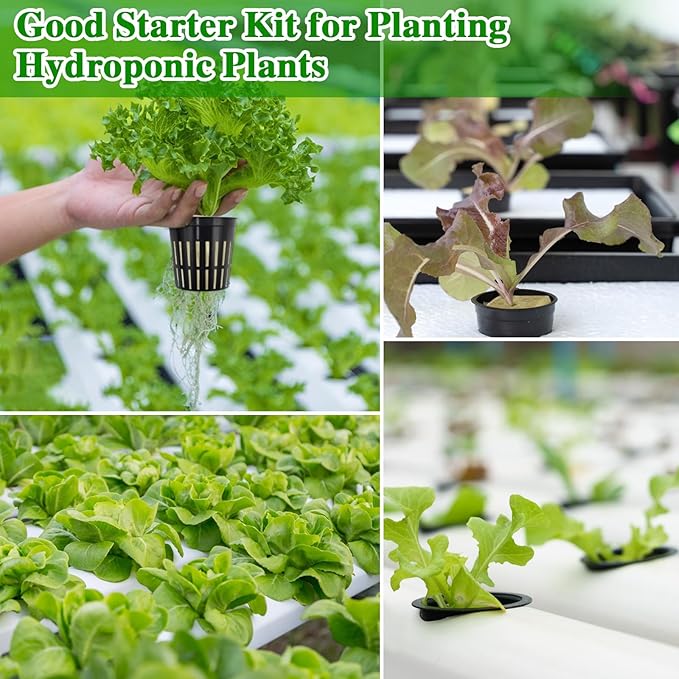 Halatool 48 x 2-Inch Rockwool Cubes & 48 x 3-Inch Net Cups - Hydroponics Starter Kit for Plants Cloning, Seed Starting, and Patio Gardening - Durable, Effective, Great Gift Option