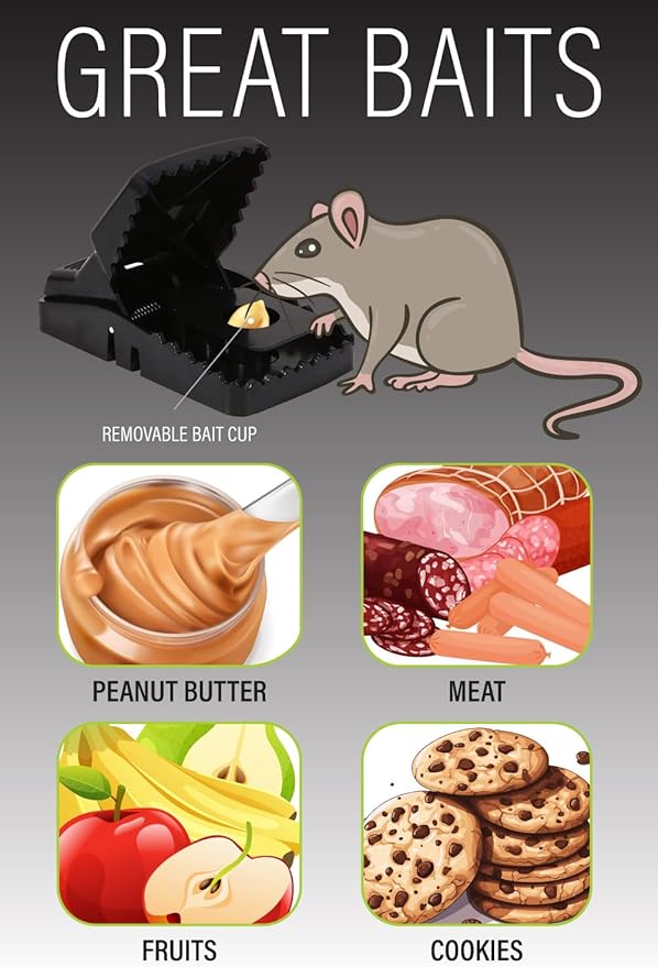 Mouse Traps Indoor (6 Pack) Catch Rats, Mice, and Voles Fast with These Simple to Bait, Safe to Set, Non Electric Rat Trap for Home, Yard, and Barn (Six Mouse Traps)