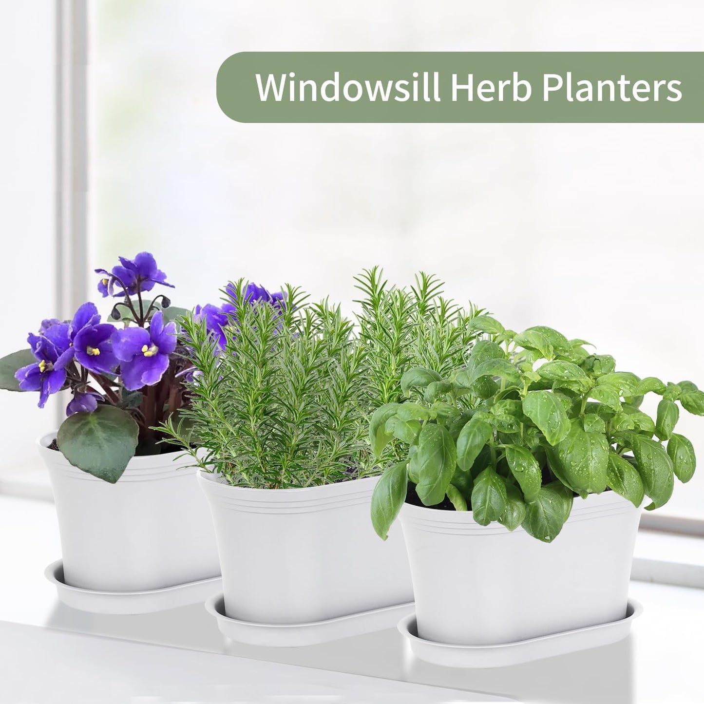 Windowsill Garden Pots, White Plastic Flower Pots with Drainage Tray for Herb, Succulents, African Violet (Pack of 6)