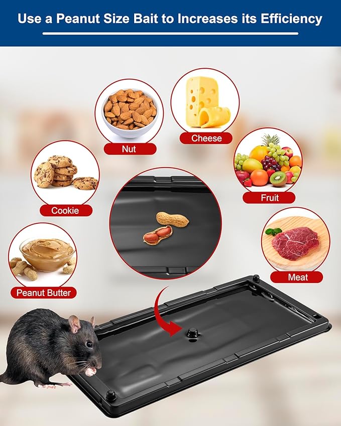 Rat & Mouse Glue-Traps 2 Pack, Large Bulk Traps, Indoor for Home, Pre-Scented Adhesive Plastic Tray Inside House, Snake, Mice, Spider Pet Safe