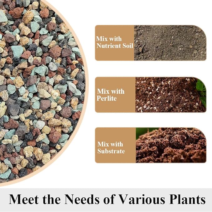 Succulent Cactus Soil Potting Mix Horticultural Lava Rocks Bonsai Soil for Indoor Plants Drainage Volcanic Rock for Terrarium Gardening Top Dressing 10lb
