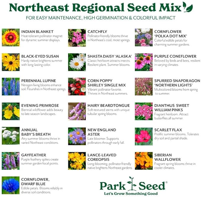 Park Seed Grow Your Own Vibrant Annual and Perennial Wildflower Garden Seeds Mixture, Easy to Grow Varieties for Pollinators and Spring Gardens - Northeast Regional Mix, 5 lbs