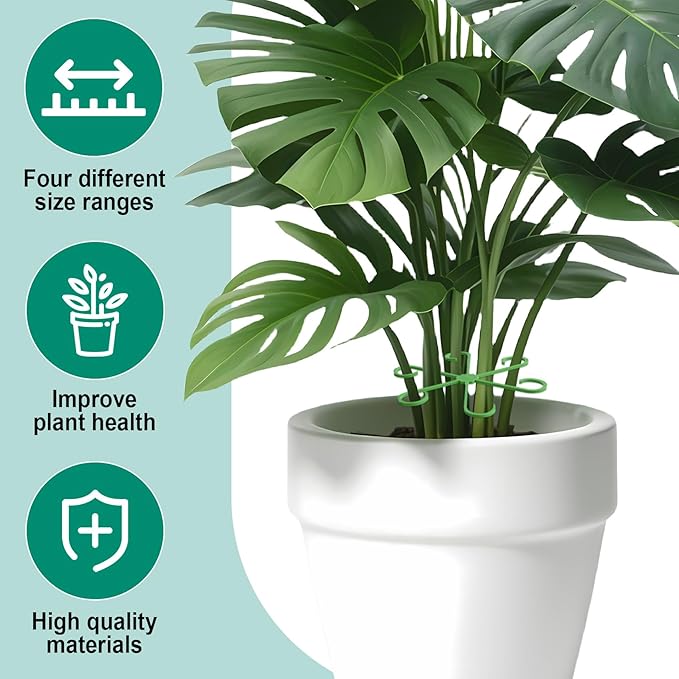 8PCS Plant Stem Support, 4 Sizes Climbing Houseplant Stem Holders, Plastic Reusable Flower Trellis Stem Hook Plant Care Growth Accessories for Flower Plants Indoor Outdoor