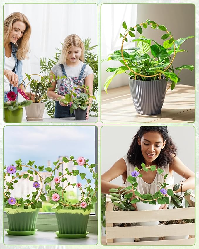 3 Pack Premium Round Plant Trellis Indoor, Small Metal Plant Support Stake for Climbing Plants, Different Sizes Gold Garden Trellis for Ivy and Flowers Outdoor