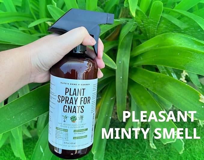 Kate's Home & Garden Plant Spray for Insects & Getting Rid of Gnats with 12 Sticky Traps. Fungus Gnat Killer & Bug Spray for Indoor Plants (16oz, Peppermint, Pet Safe, Non Toxic)