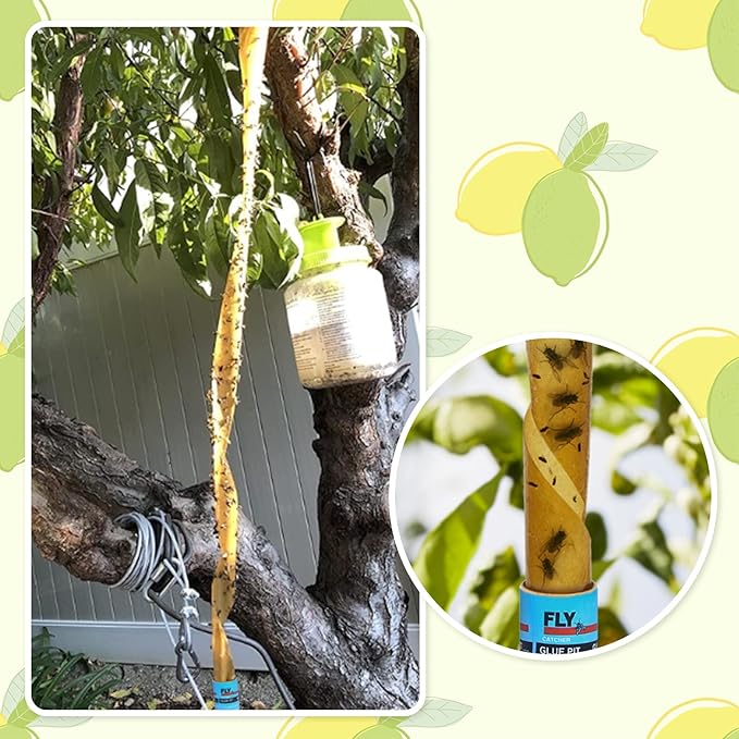 Stingmon 40 Pack Fly Trap, Fruit Fly Traps Indoor for Home, Fly Strips Traps Outdoor Hanging, Flying Insect Trap, Fly Tape Paper Ribbon, Gnat Traps for Bug, Insect, Pest, Mosquito