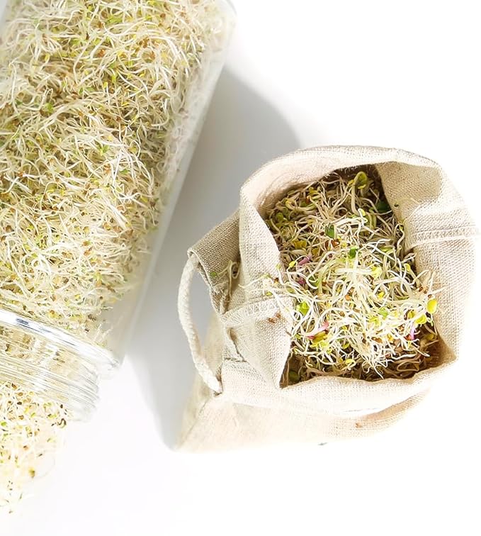 Sproutman®'s Hemp Sprout Bag - Just Dip in Water, Hang It Up, & Watch It Grow