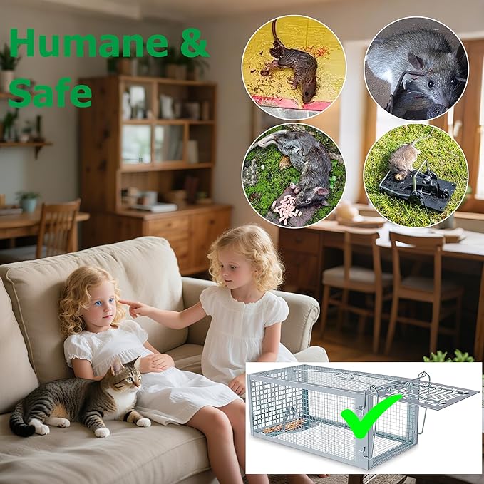 Humane Rat Traps 2-Pack, No Kill Small Animal Mouse Squirrel Cage Traps, Vole Mice Live Cage Catch and Release, Chipmunk Rodent Trap Mouse Traps That Work for Indoor and Outdoor