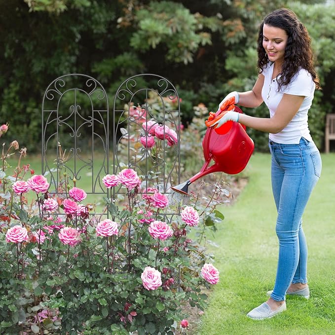 SUNYRISY 4Pack Metal Garden Trellis for Climbing Plants Outdoor, Metal Plant Trellis for Flowers Tomato Cucumber Rose Vegetable Support Garden Decoration, Black